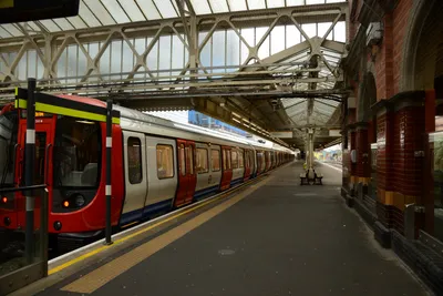 DSC_1223 (Large).JPG